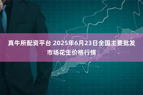 真牛所配资平台 2025年6月23日全国主要批发市场花生价格行情