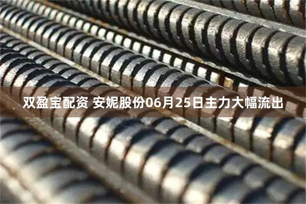 双盈宝配资 安妮股份06月25日主力大幅流出