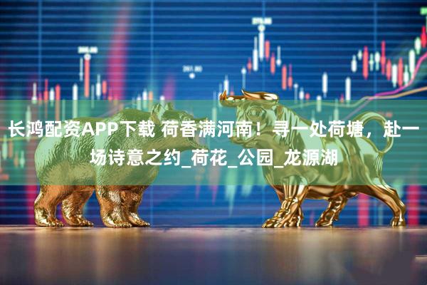 长鸿配资APP下载 荷香满河南!寻一处荷塘,赴一场诗意之约_荷花_公园_龙源湖