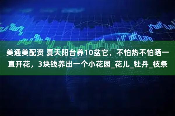 美通美配资 夏天阳台养10盆它，不怕热不怕晒一直开花，3块钱养出一个小花园_花儿_牡丹_枝条