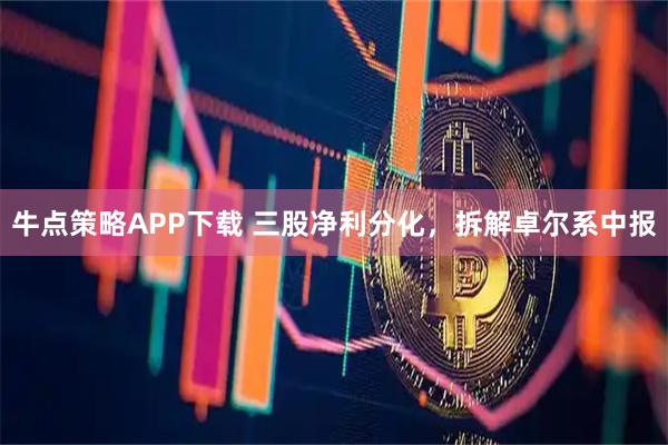 牛点策略APP下载 三股净利分化，拆解卓尔系中报