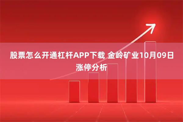 股票怎么开通杠杆APP下载 金岭矿业10月09日涨停分析