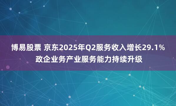 博易股票 京东2025年Q2服务收入增长29.1% 政企业务产业服务能力持续升级